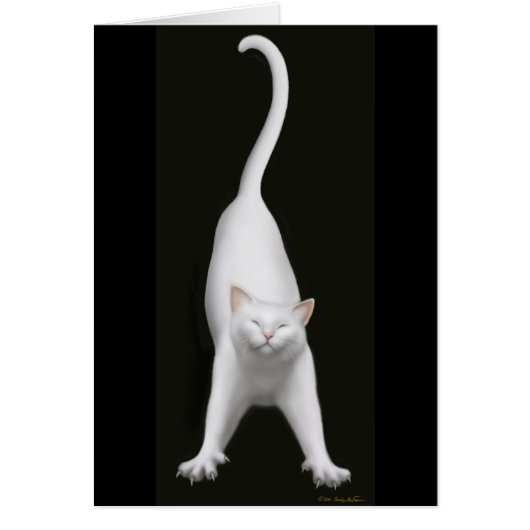 Stretching White Cat Card (Front)
