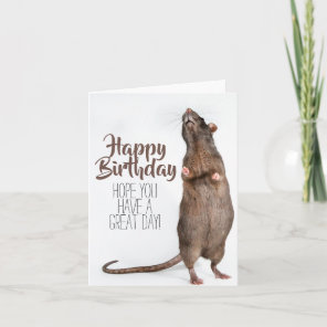 Stretchy Rat Birthday Card
