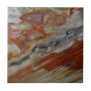 Striated Petrified Wood Ceramic Tile
