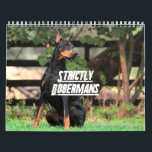 Strictly Dobermans Calendar 2026<br><div class="desc">A calendar everyone looks forward to every year. Enjoy a year of stunning Dobermans in a calendar with spring fall and winter fun. Photos from our members at Doberman Chat.</div>