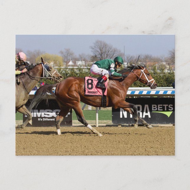 Stride for Stride Postcard (Front)