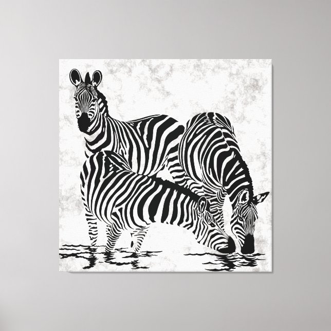 Striking 3 Zebras Canvas Print (Front)