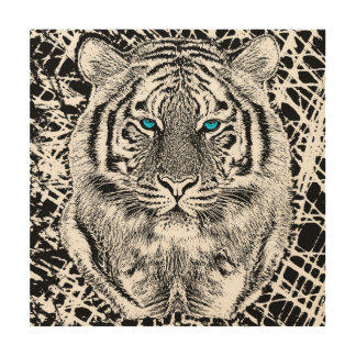 Striking Black And White Blue Eyes Tiger Wood Wall Art