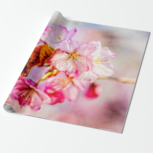 Striking Bunch Of Pink Sakura Flowers Wrapping Paper