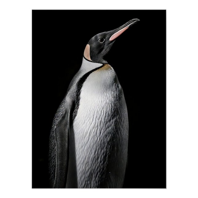  Striking High Contrast Emperor Penguin Fine Art  Poster (Front)