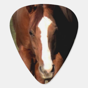 Striking Horse Portrait Closeup Guitar Pick