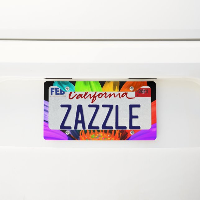Striking License Plate Design Frame (On Car)