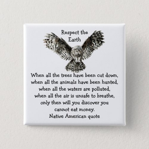 Striking Owl Respect the Earth Native American Button