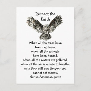 Striking Owl Respect the Earth Native American Postcard
