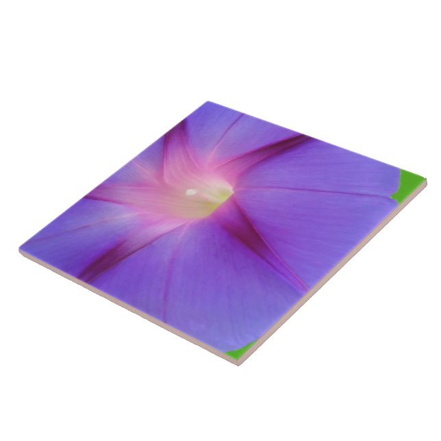 Striking Purple Floral  Ceramic Tile (Side)