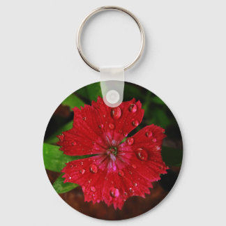 Striking Red Dianthus Flower With Raindrops Photo Keychain