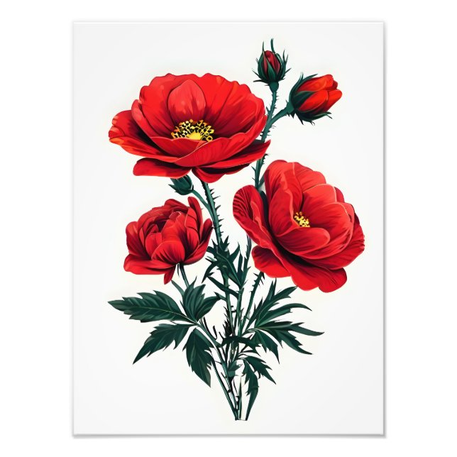  Striking Red Poppies Photo Print (Front)