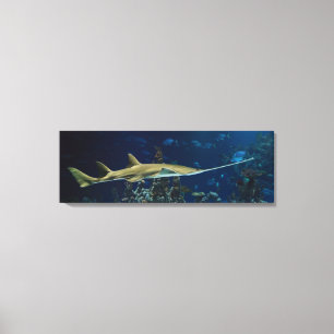 Striking Sawfish Canvas Print