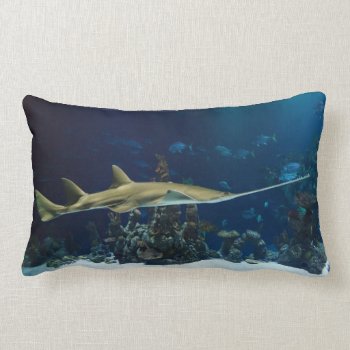 Striking Sawfish Lumbar Pillow by beachcafe at Zazzle