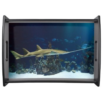 Striking Sawfish Serving Tray by beachcafe at Zazzle