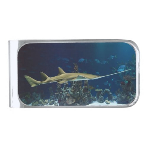 Striking Sawfish Silver Finish Money Clip