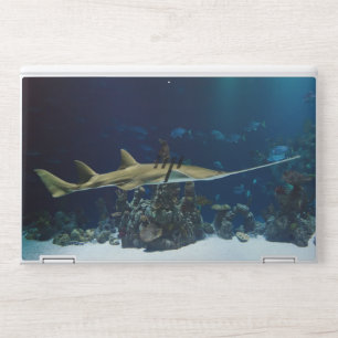 Striking Sawfish Underwater HP Laptop Skin