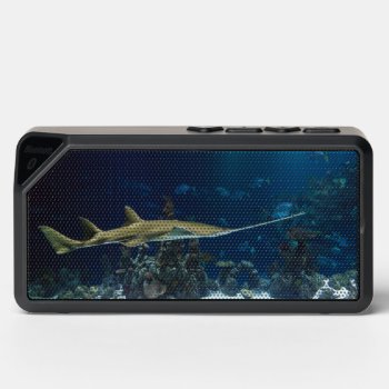 Striking Sawfish Underwater Photograph Bluetooth Speaker by beachcafe at Zazzle