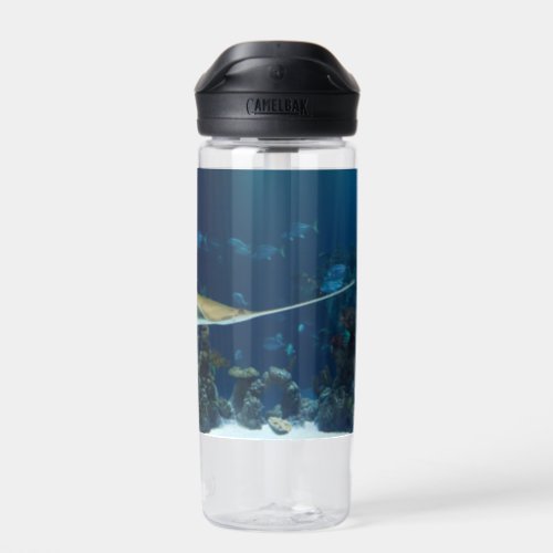 Striking Sawfish Underwater Water Bottle