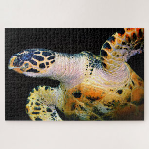 Striking Sea Turtle Closeup Jigsaw Puzzle