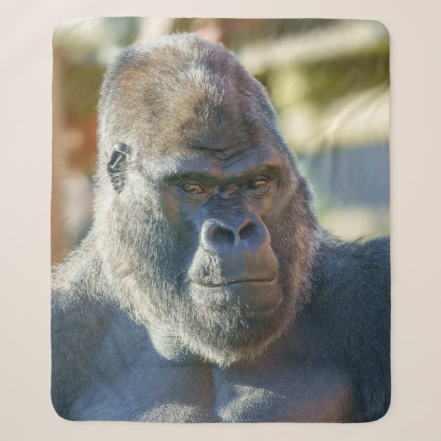 Striking Silverback Fleece Blanket (Front)