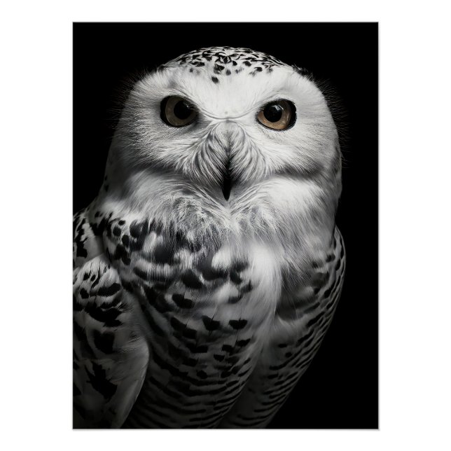 Striking Snowy Owl Fine Art Print | High Contrast (Front)