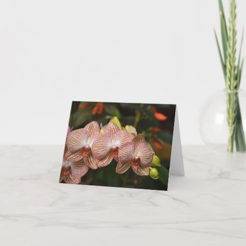 Striking String Of Orchids Note Card