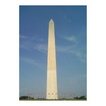 Striking Sun Contrast 