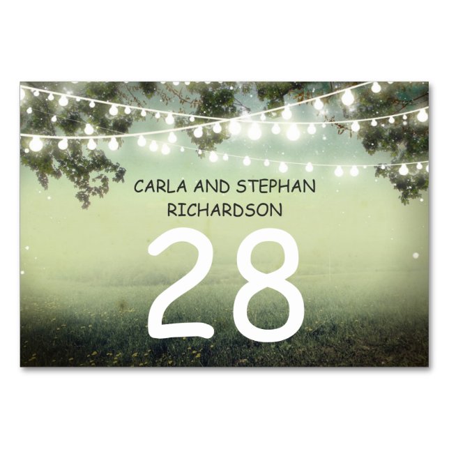 String lighs Wedding Table Number Card Place Card (Front)