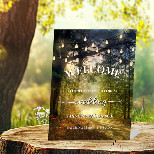 String Lights Enchanted Forest Wedding Welcome Pedestal Sign