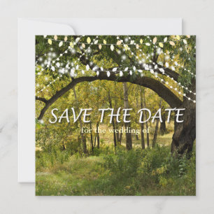 String Lights, Fireflies Save the Date Card