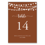 String Lights Terracotta Calligraphy Wedding  Table Number