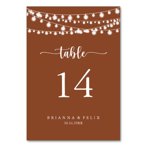 String Lights Terracotta Calligraphy Wedding  Table Number