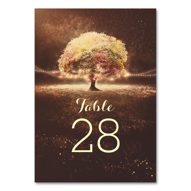 String Lights Tree Wedding Table Numbers Card