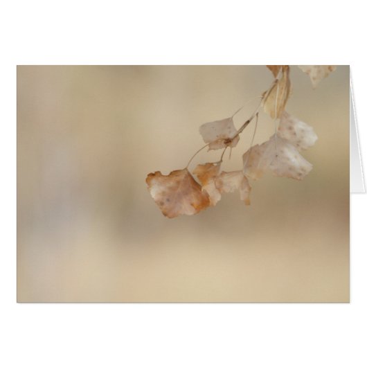 string of golden leaves cards (Front Horizontal)