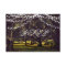 String of Lights Rustic Oak Tree Wedding RSVP Card