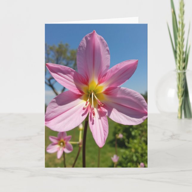 Striped Anther Floral Card (Front)