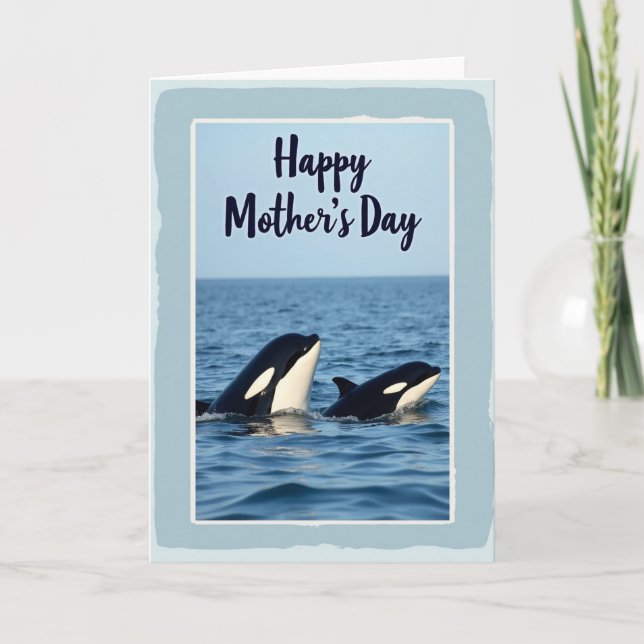 Striped Aquatic Family Card (Front)