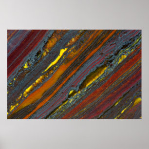 Striped Australian Tiger Eye Poster