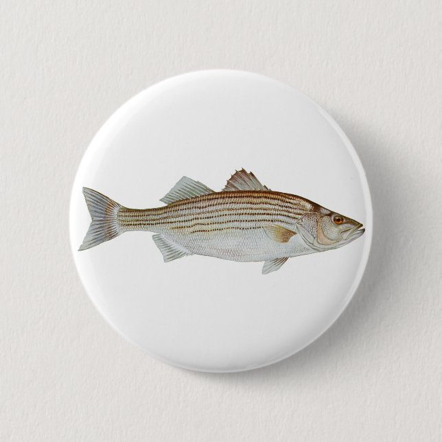 Striped Bass Art Pinback Button (Front)