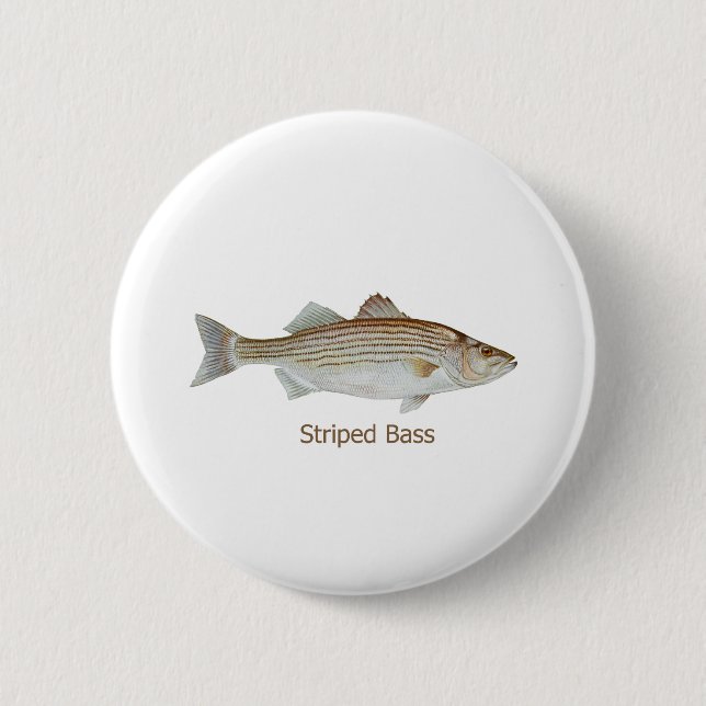 Striped Bass Art (titled) Pinback Button (Front)
