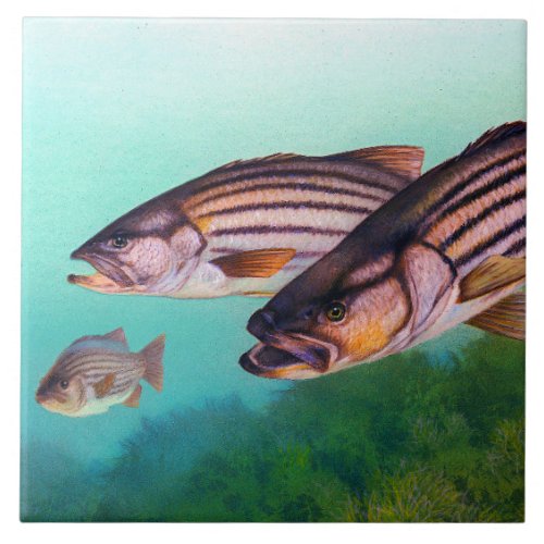 Striped Bass Atlantic Striper Ceramic Tile