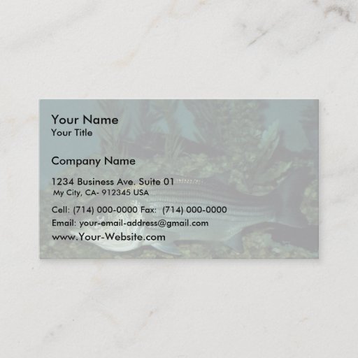 Customizable Striped Bass Business Card