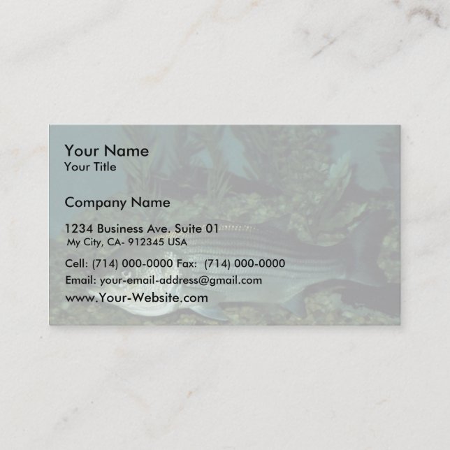 Striped Bass Business Card (Front)