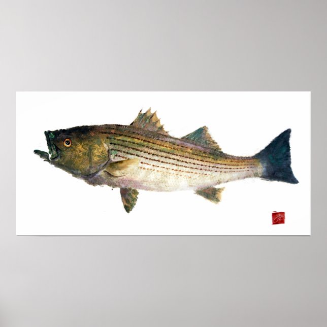 striped Bass Gyotauku Poster (Front)