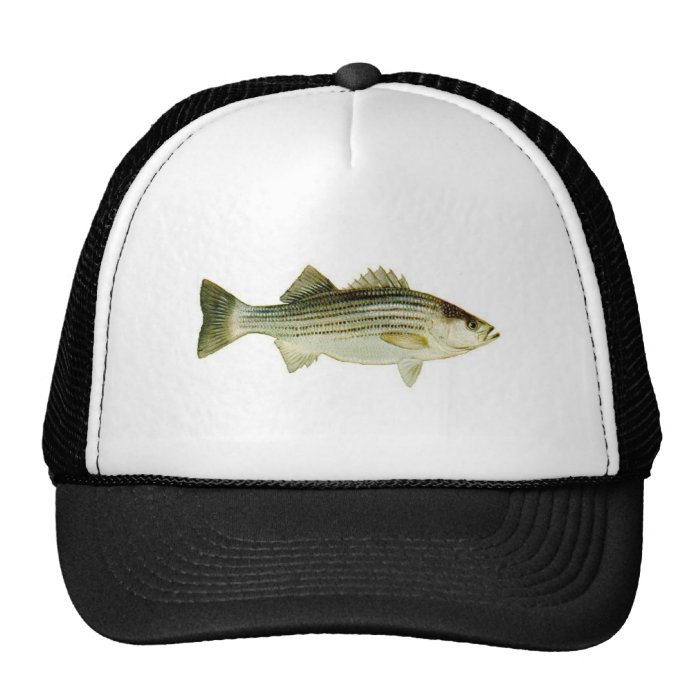 striped bass hats