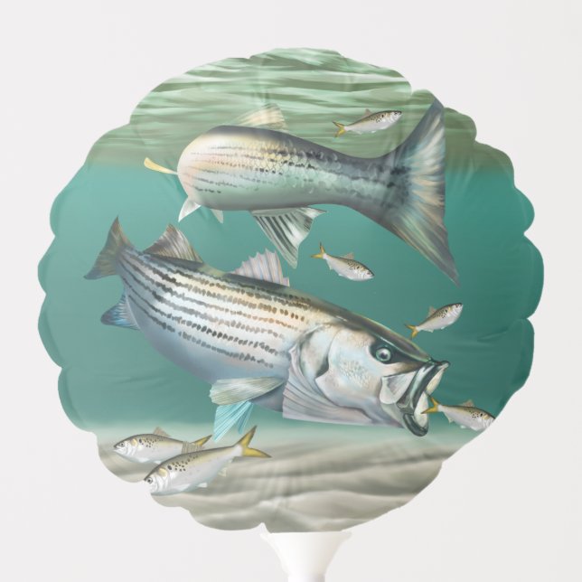 Striped Bass Hunting Menhaden Balloon (Front)