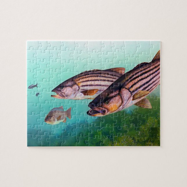 Striped Bass Jigsaw Puzzle (Horizontal)