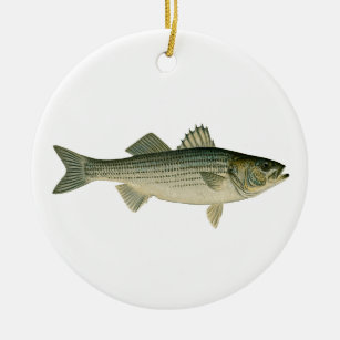 Striped Bass Logo Ceramic Ornament