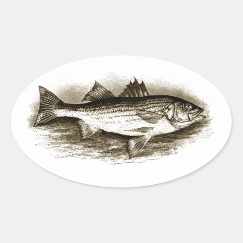 Striped Bass Logo vintage Oval Sticker